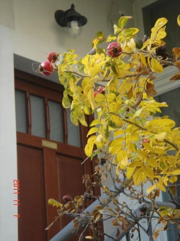 Apartament Apartament Wild Rose Sopot Polska